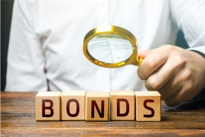 Government Securities and Bonds